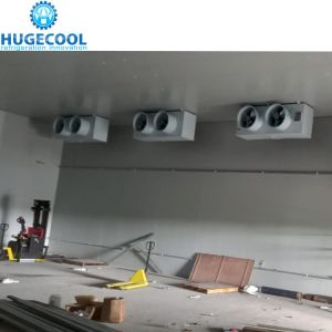 Small Medium Large Size Cold Storage Room for Fresh Meat Refrigeration