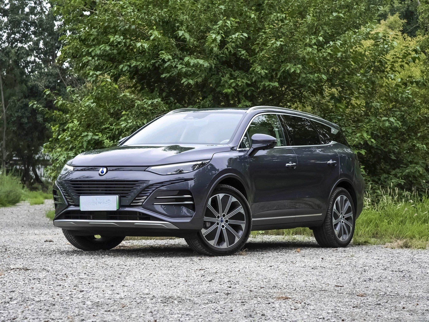 Denza N8 Dm Long Range Ev Car 176km Awd 4wd 2024 Tengshi Vehicle Electric Car