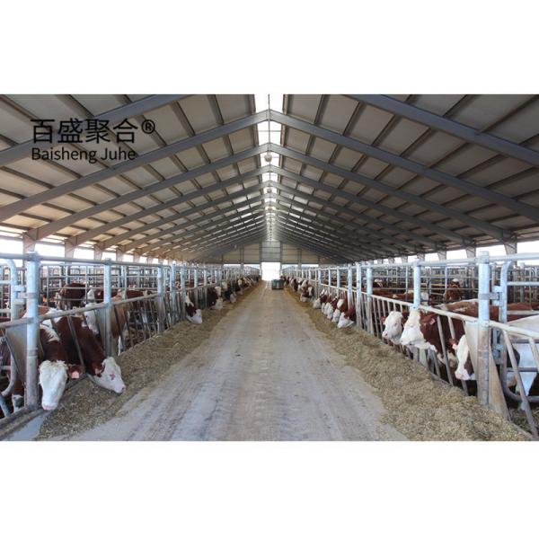 Upgrade Your Cattle Farm House with 's Grade-A Steel Cowsheds AutoCAD Drawing