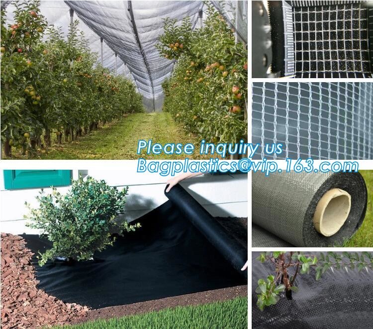 cheap and durable plastic colored anti mosquito netting/window insect screen,Industrial Agricultural Greenhouses use 2m