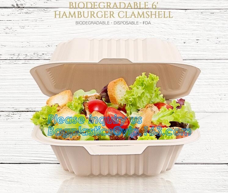Meal Prep Containers Free Sample Bento Lunch Box Biodegradable Food Container Plastic Wheat Straw Lunch Box bagplastics