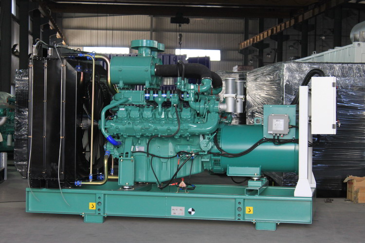 250 Kva Natural Gas Generator Set 230V 3 Phase Portable Diesel Generator 125kw