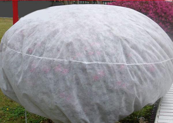 Tear Resistant Spun Bonded Non Woven Weed Control Fabric for Agriculture and