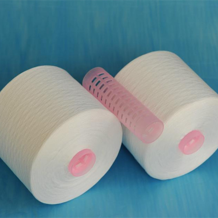 50s/2 Recycled Polyester Spun Yarn