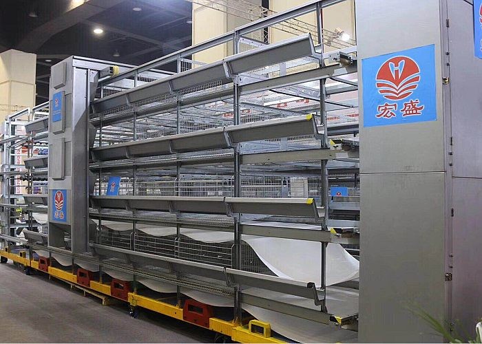 durable poultry raising equipment Feeder System low energy consumption