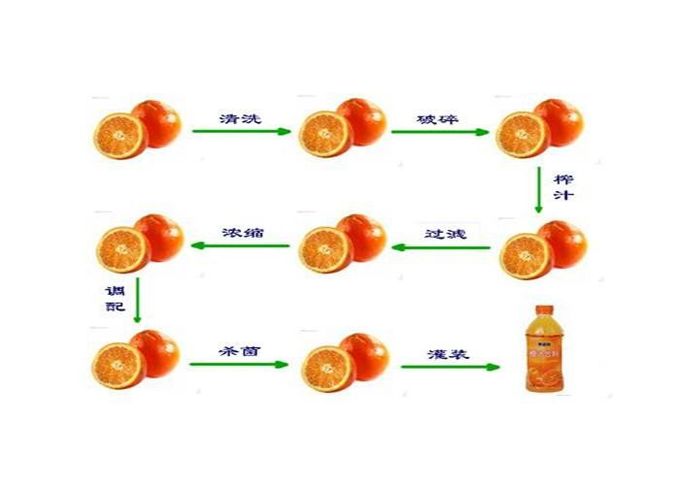 8000BPH Apple Fruit Juice Processing Plant , Filling And Packing Line