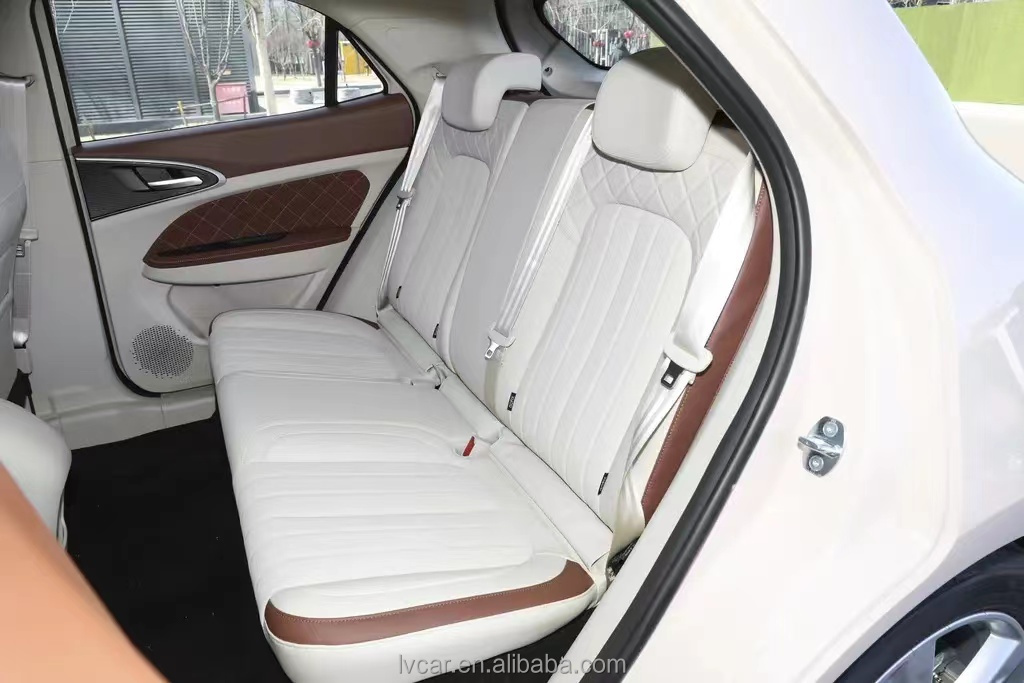 2024 Pure Electric Car 401km Driving Range 105kw Maximum Power for Automotive Market