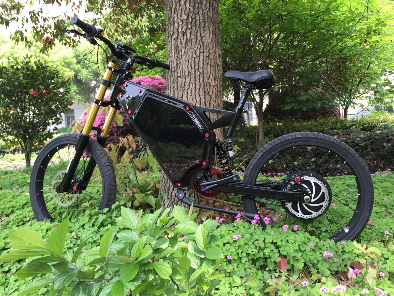 Fast 1500w Adults Powerful Electric Bike With 48v Samsung Lithium Battery