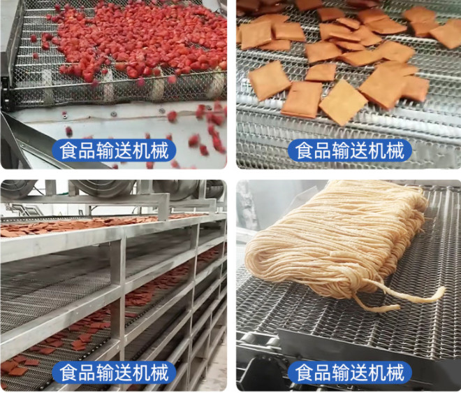 316L Flat Flex Conveyor Belt High Temperature And Low Temperature Resistance