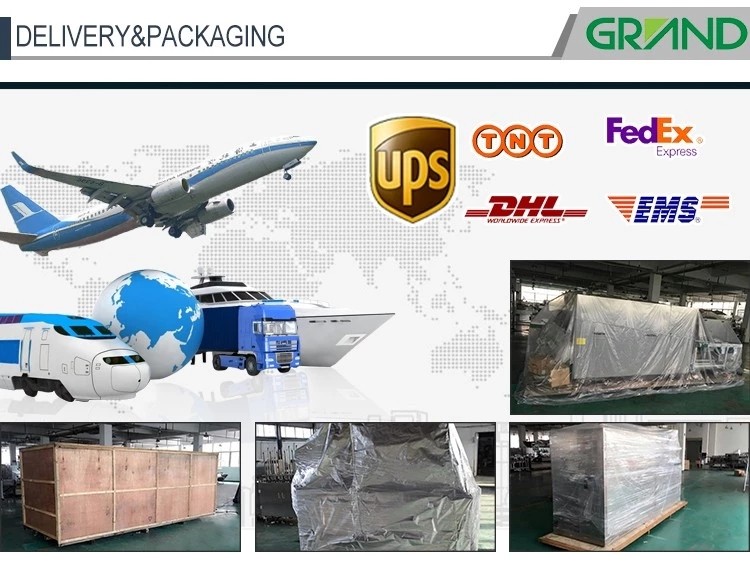 Automatic Small Alu/PVC Flat Plate Blister Packing Machine For Tablet Capsule