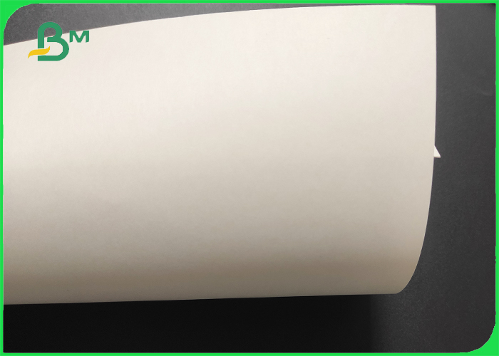 polycoated cupstock paper