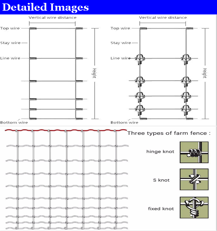 Customized galvanized hinge joint field cattle goat fences farm guard deer netting