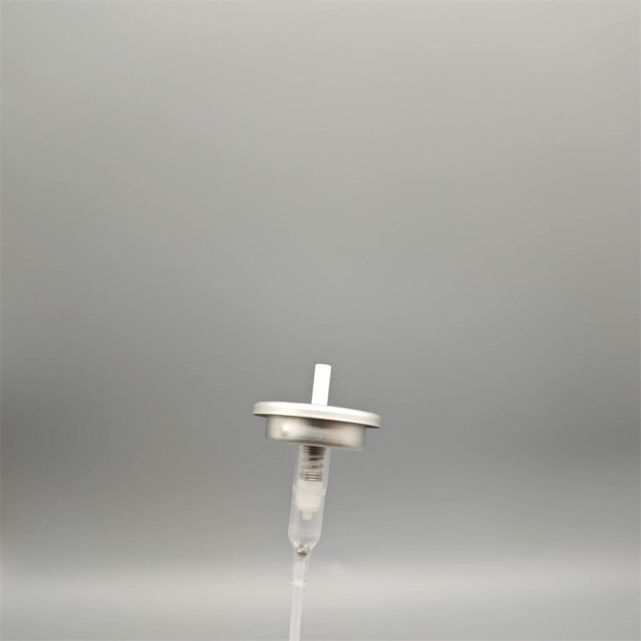 Advanced 0.15cc Mist Sprayer Valve for Skincare Solutions - Fine, Even Application