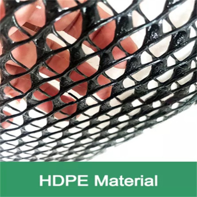 HDPE Mesh 3D Composite Drainage Composite Geo Net Geonet for Durable Drainage Solution