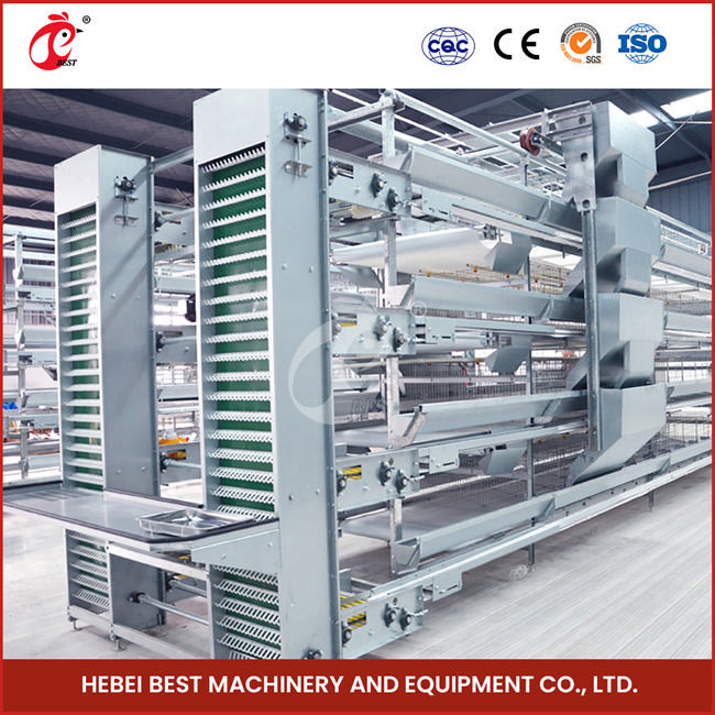 90-200 Chickens Capacity Automatic Chicken Cage System Rose