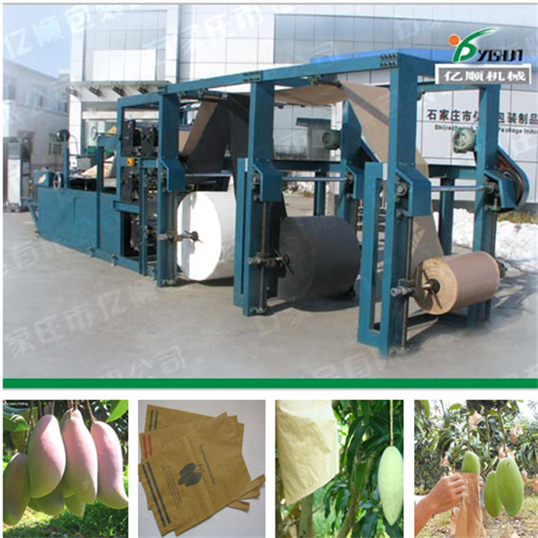 Mango protection bag machine factory price