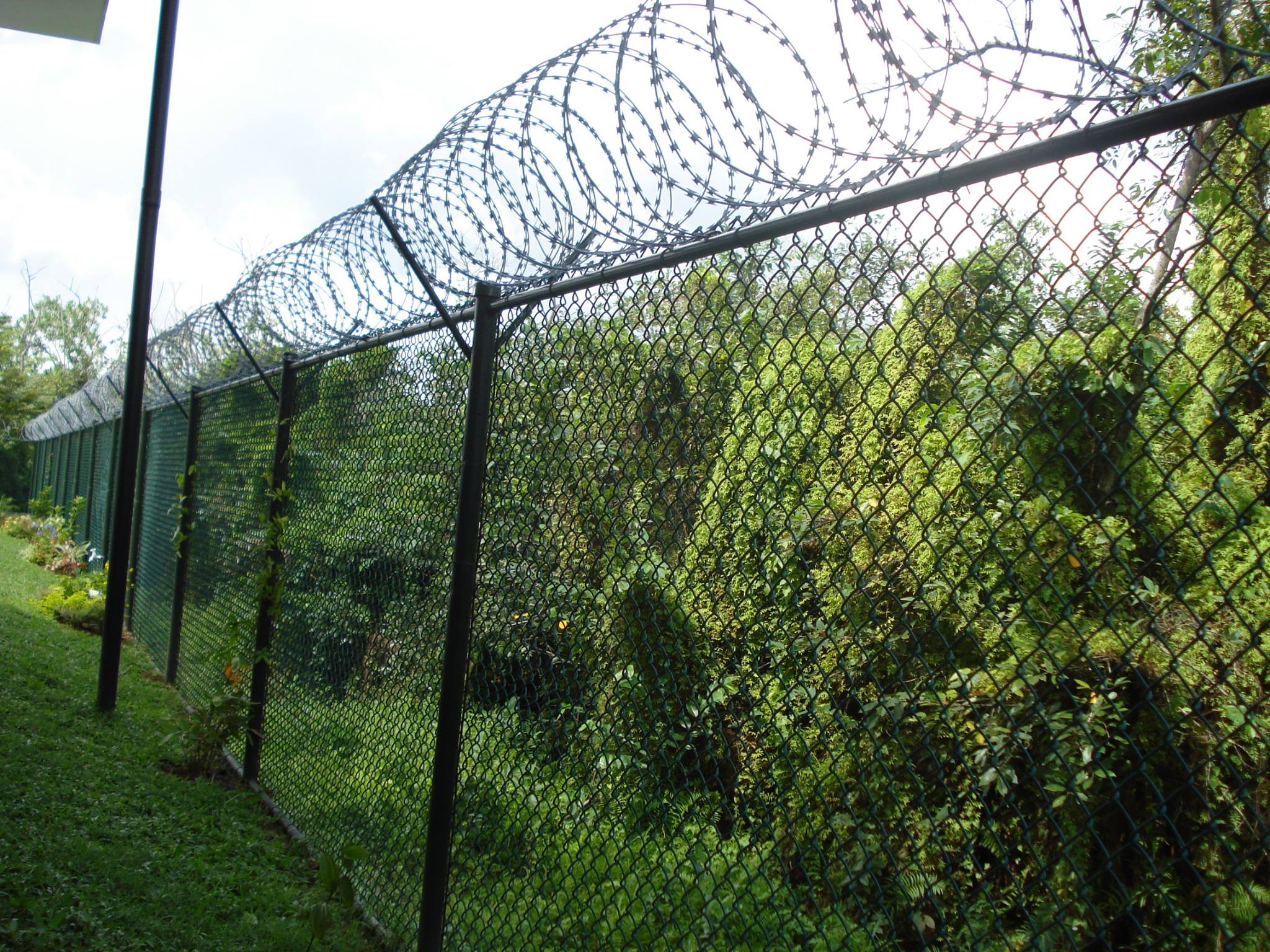 Anping Factory good Chain Link Fence Stadium Fence 9 gauge chain link wire mesh fence