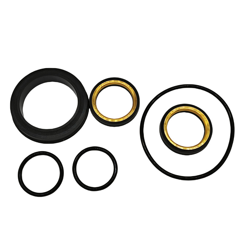 Corrosion Resistance Custom Size 2'' *2'' Plug Valve Repair Seal Kit For Completion Tool