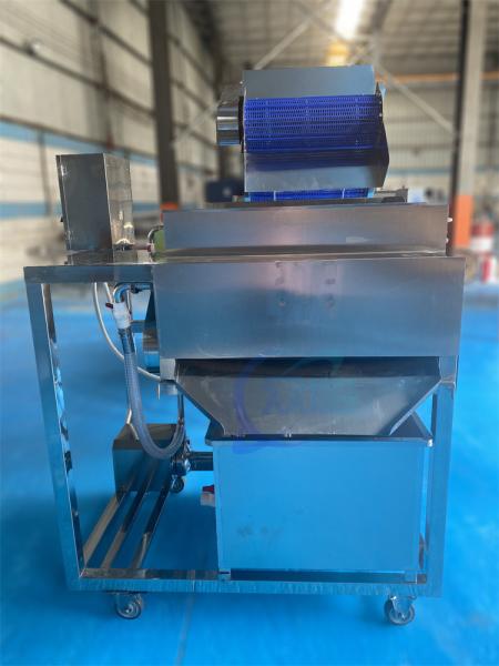 1500W Stable Fish Processing Plant Equipment , Industrial Shrimp Whisker