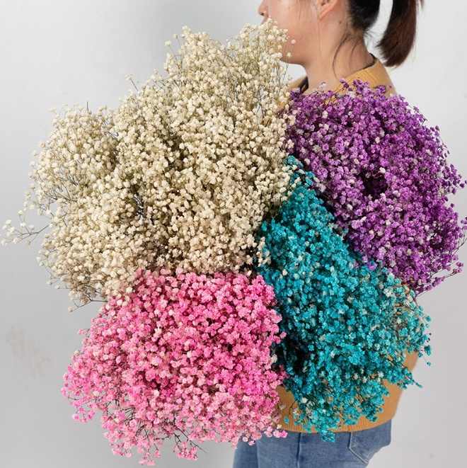 100g Dried Flower Artificial  Bouquet Baby Breath Gypsophila Flower  Wedding Decor Centerpiece