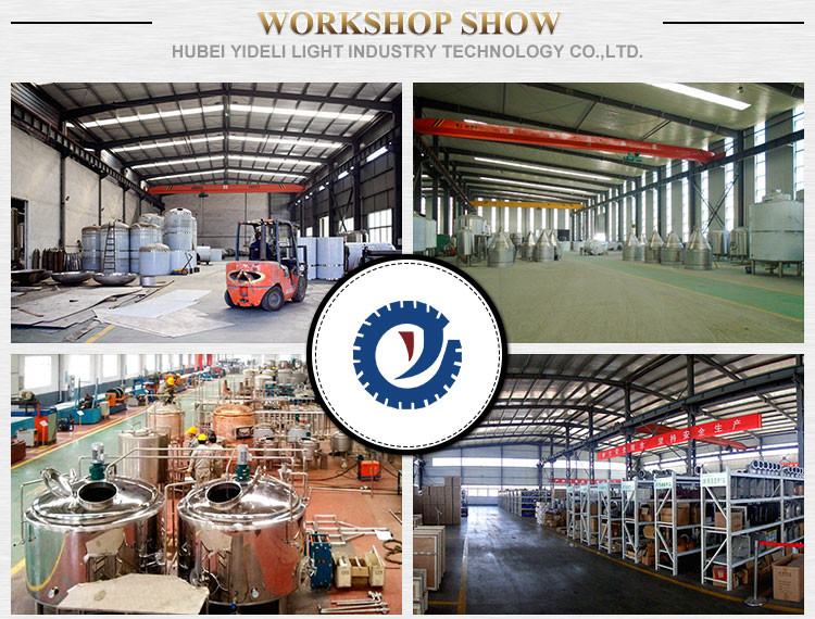 Fired Heating 10BBL Professional Brewing Equipment 20HL Beer Brewery ISO Approved