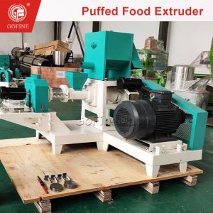 China Food Processing Machines Breakfast Cereal Extrusion Equipment on sale