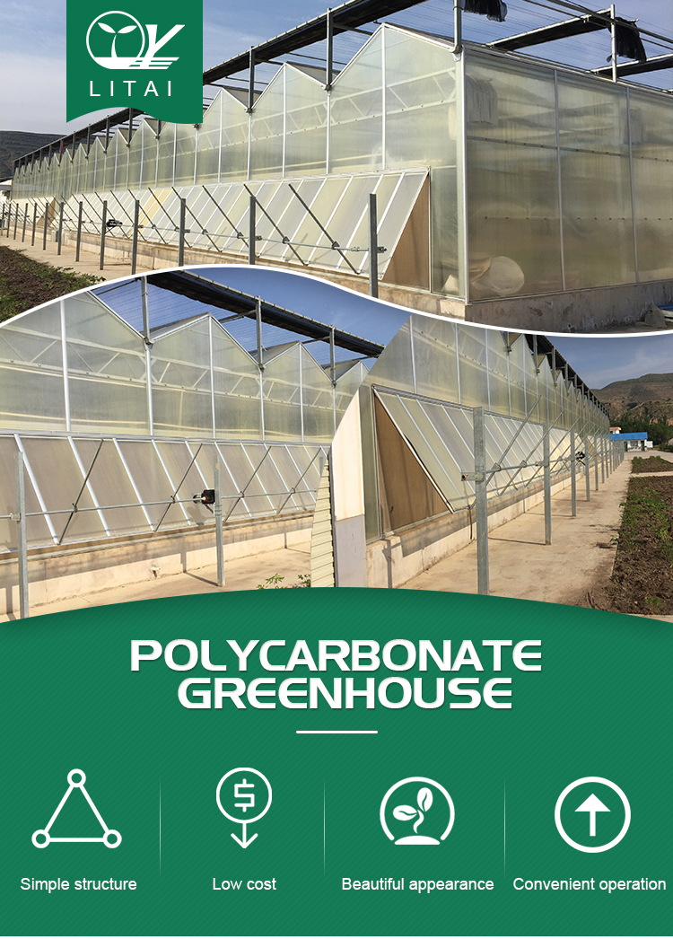 Multi-Span Agricultural Greenhouses for Sustainable Fruits and Vegetables Cultivation