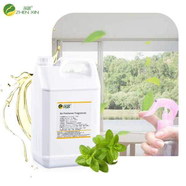 Luxury Mint Scent Home Car Fragrance Oil For Perfume Branded Air Freshener