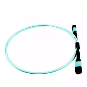 China 100M MPO to MPO trunk cable Fiber optic patch cord LSZH 12 core MPO patch cord on sale