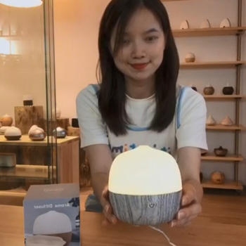 Smart Voice Ultrasonic Wifi Aromatherapy Essential Oil Diffuser