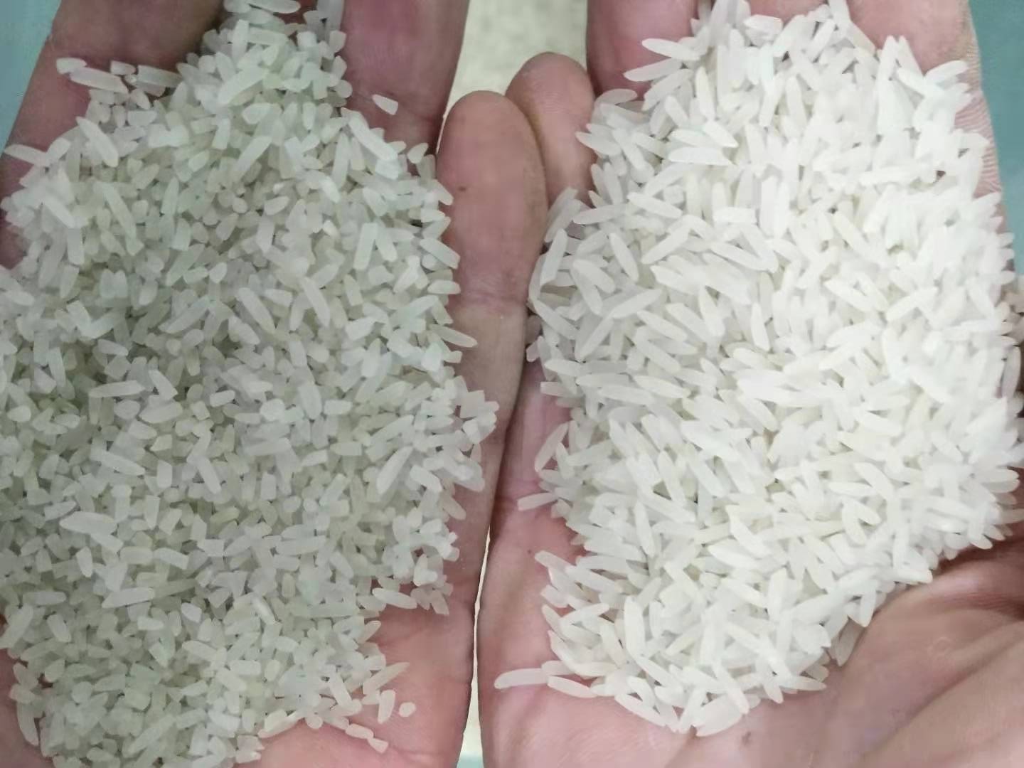 One Chute CCD Cameras Rice Sorting Machine High Capacity