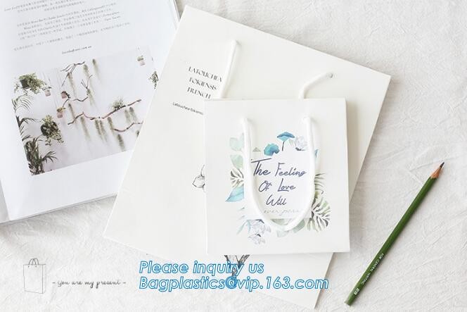 Flower carrier bag with different color customized pot plants kraft paper bag with handle,stamping logo fancy paper flow