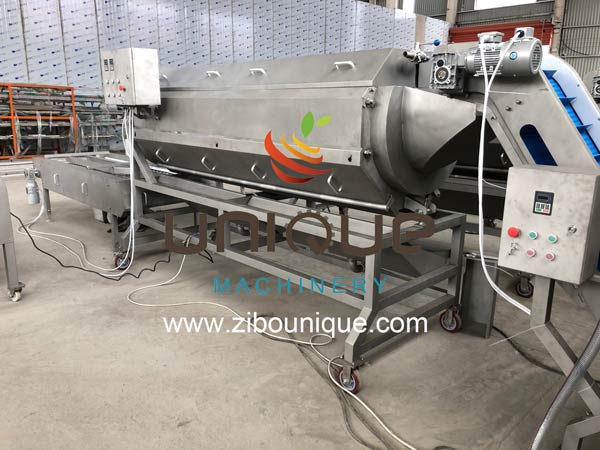 Potato Peeling and Washing Machine 2.25 kw for Food Processing Industries Efficiency