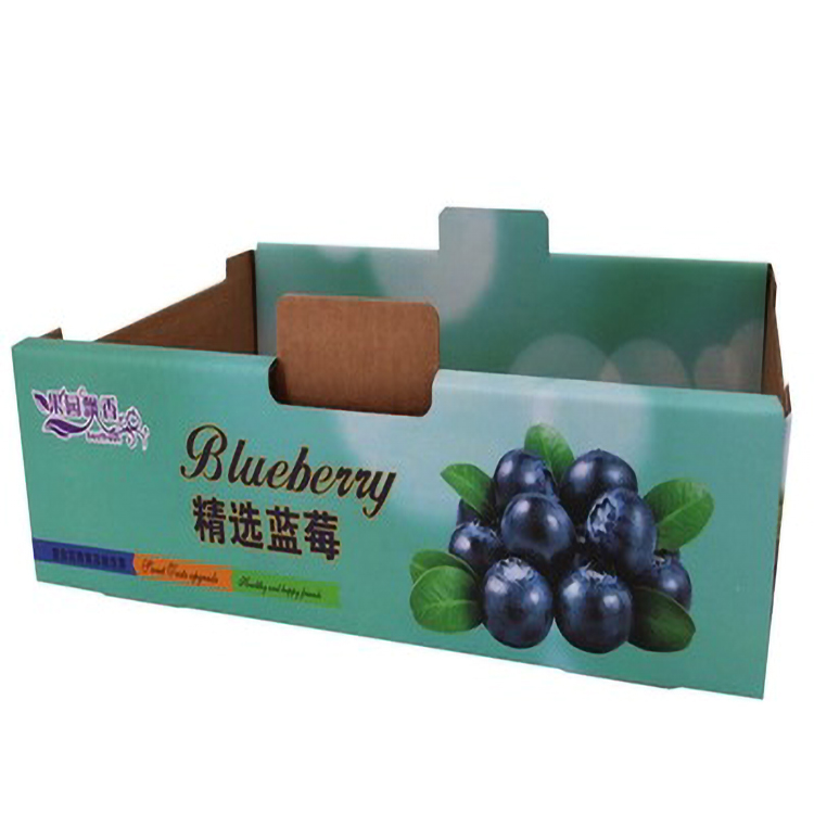 Multicolor Sustainable Corrugated Gift Box For Fruit Packaging Leakproof