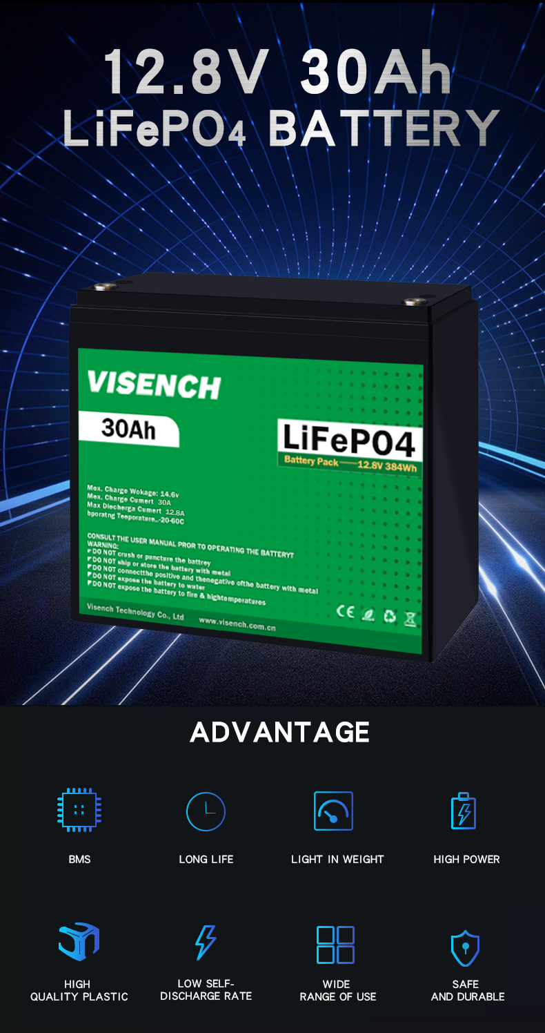 Visench 12V 30Ah Lithium Ion Iron Phosphate Battery Rechargeable 12.8V Lifepo4 Battery Pack