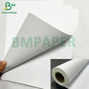 High Whiteness 24'' 36" * 150ft Premium CAD Plotter Paper Roll