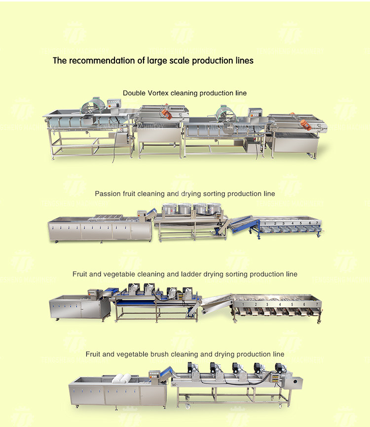 380V Vegetable Processing Machine Automatic Elevator Food Conveying