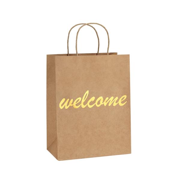 CMYK / Pantone Printing Kraft Paper Shopping Bags Brown Paper Bags With Twist