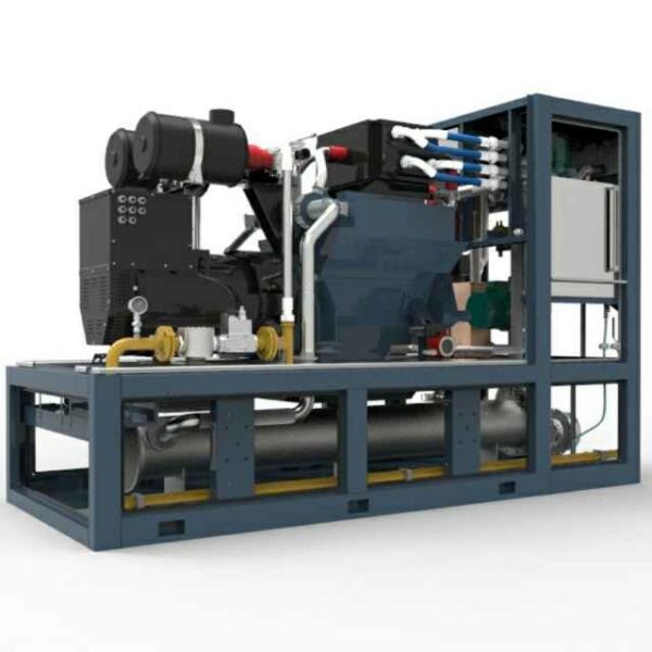 3 Phase Biogas Combined Heat And Power Systems 220KW 400V / 230V High Reliabilit