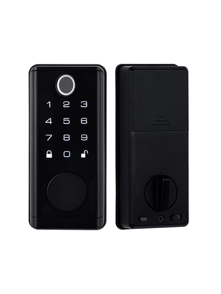 TTlock Tuya BLE Deadbolt Locks Bloqueio Automatic Door Locks For Houses