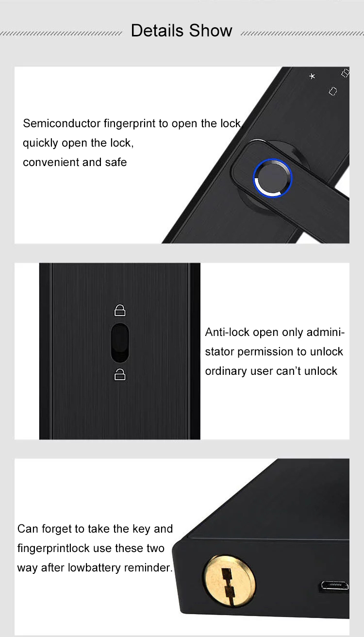 ROHS Black Tuya APP Smart Lock Push Pull Fingerprint door lock