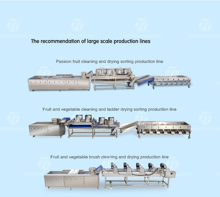 30pcs/min Fish Processing Machine Squid Cuttlefish Skin Peeler