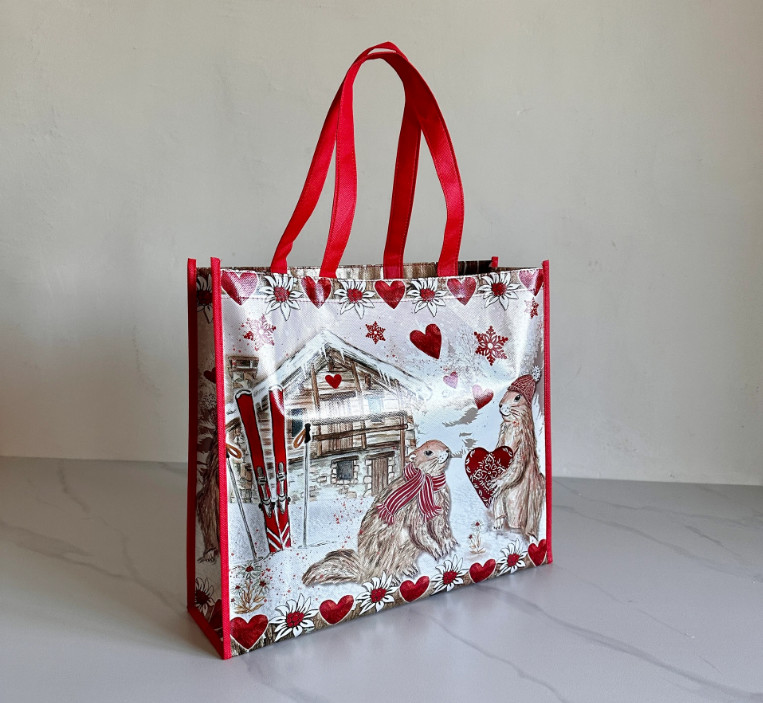 Custom Logo Printed Reusable Spunbond Non-Woven Fabric Shopping Bag Durable And Eco-Friendly Custom Non-Woven Bag Shopping Bag Non Woven Foldable Tote