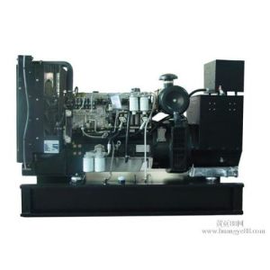  Rental Prime Power LOVOL Diesel Generator Set 30KW With 1003TG Generating Set Manufactures