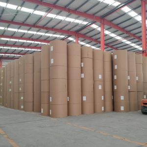 Recycled Offset Paper Packaging Printing Customized White Woodfree Paper