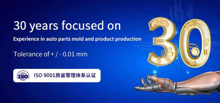 Customized Size Plastic Injection Molding Polish Etched and Textured for Custom Plastic Parts Manufacture