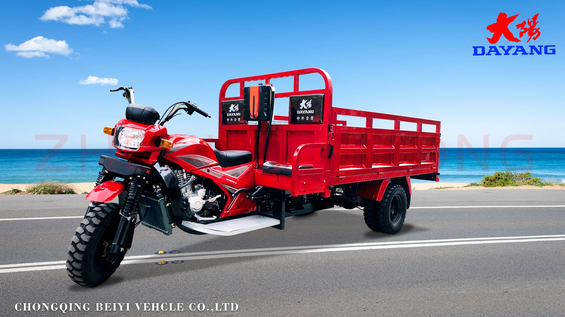 Standard Size Motorized Tricycles 800kg Loading Capacity for Your Business Needs