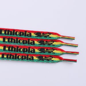 Soft Printed Polyester Shoelace Custom Design Color Flat Cord With Plastic Tips