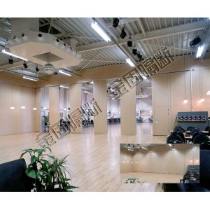  Customization Banquet Hall Partition Wall Function Of Space Partition / Divide With Accessories And Track Manufactures