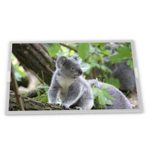 G101UAN02.0 New 10.1-inch Full View IPS LCD Display High Brightness LED Backlight Outdoor Use SPI LVDS Interface LCD Panel